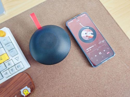 音质好？2025十款口碑爆表的蓝牙音箱推荐凯发k8登录vip蓝牙音箱什么品牌质量好(图10)